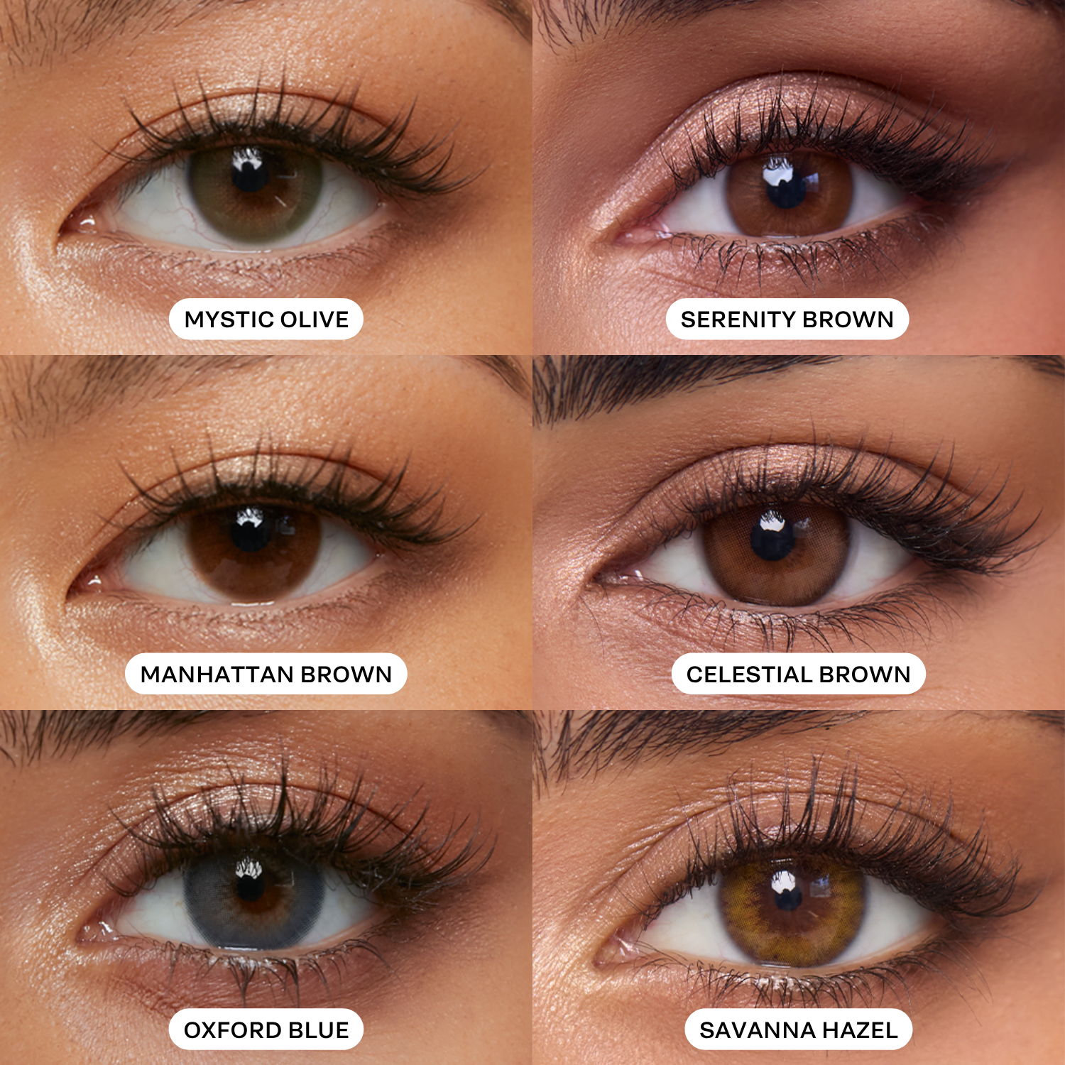 新品 Jungle Brown - Eyein' Me Eyein' You Best for Dark Brown Eyes Discovery Set | Dimple Color Contact Lenses