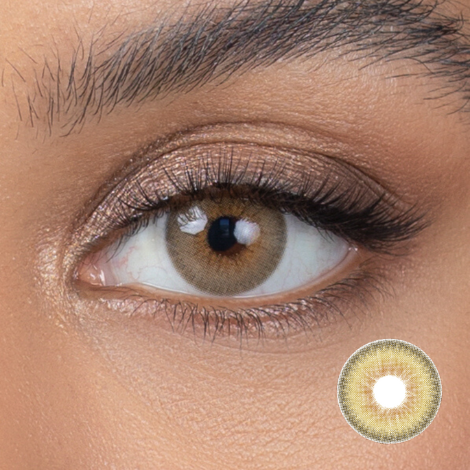 Burnt Butter Hazel Daily Colour Contact Lenses | Dimple Color